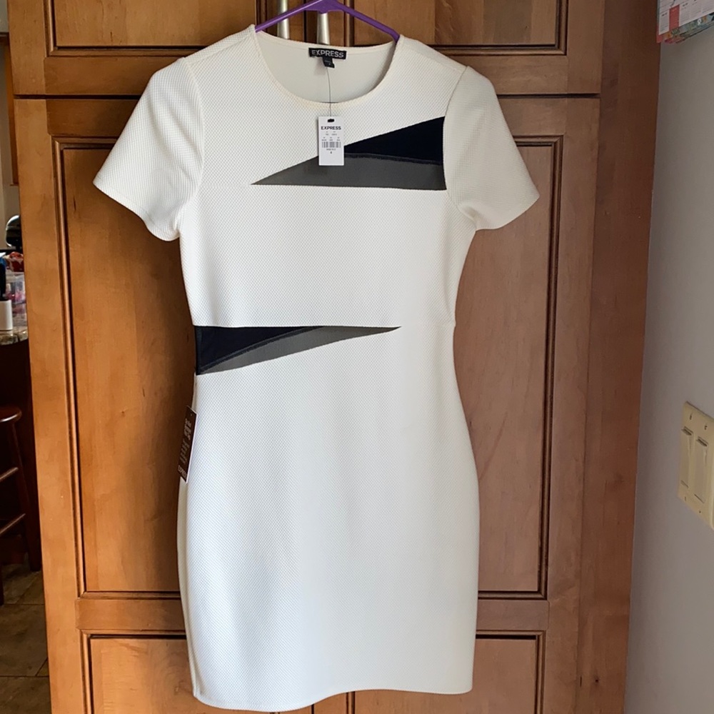 Mesh Bodycon Dress